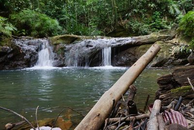 Scenic view of waterfall in forest