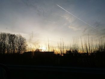 Silhouette trees against sky during sunset