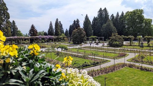 Mainau island plant park lake constance