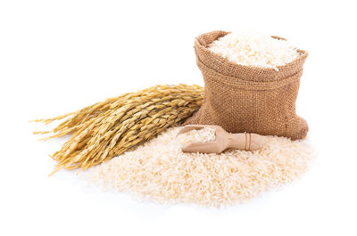 Close-up of wheat against white background