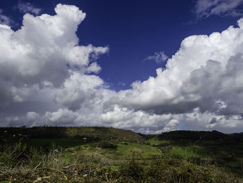 Scenic view of field against sky