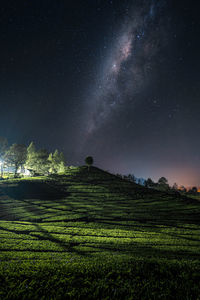 Scenic view of field against sky at night