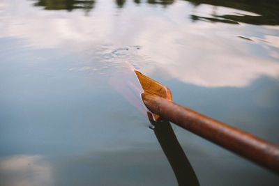 Close-up of wooden oar in lake