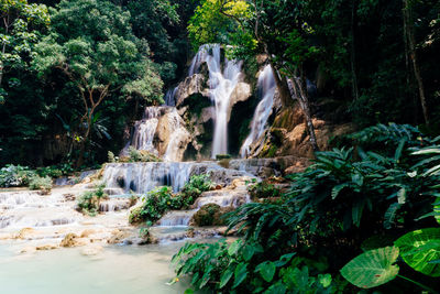 View of waterfall in forest