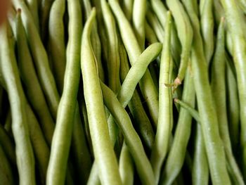Full frame shot of green leaves