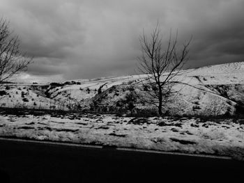 Bare trees on snow covered landscape