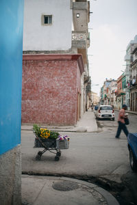 People walking on street