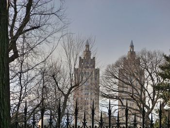 Low angle view of trees in city