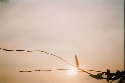 Low angle view of sky during sunset