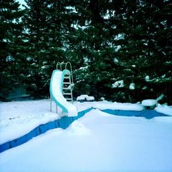 Trees on snow covered landscape