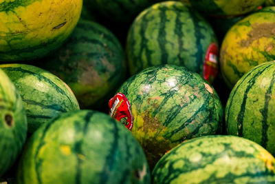 Detail shot of watermelons