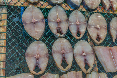 High angle view of fish for sale in market