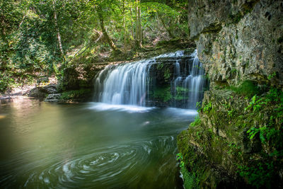 Scenic view of waterfall in forest