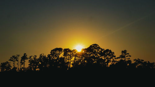 Silhouette trees against sky during sunset