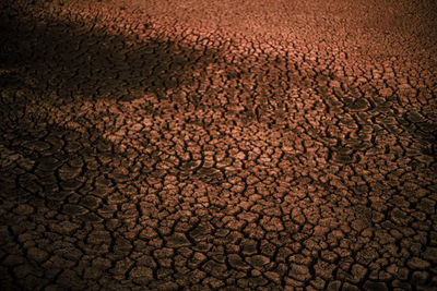 Full frame shot of cracked land