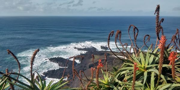 Scenic view of sea and rock against sky