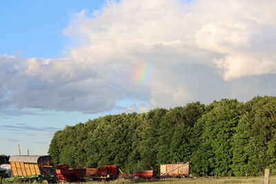 Rainbow over trees and buildings against sky