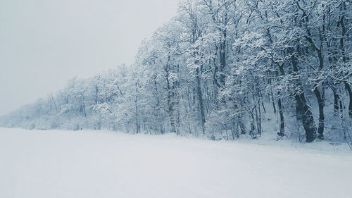 Snow covered trees in forest against sky