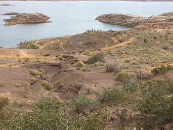 Scenic view of sea shore against sky