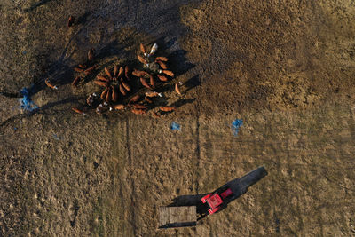high angle view