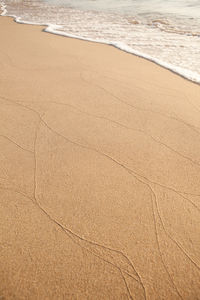 High angle view of sandy beach