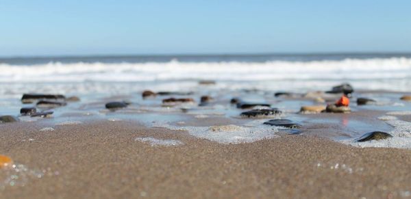 Scenic view of beach