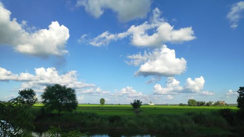 Scenic view of agricultural field against sky