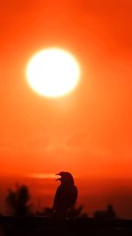 Silhouette person against orange sky during sunset