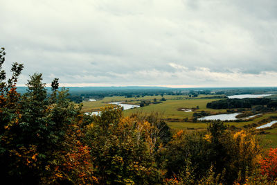 Scenic view of trees against sky