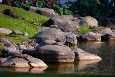 Scenic view of rocks in lake