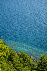 High angle view of sea and trees