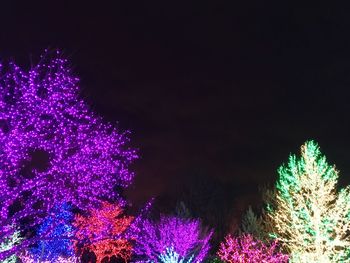 Low angle view of illuminated christmas tree against sky