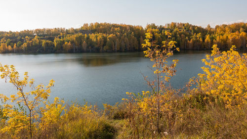 Scenic view of lake against trees during autumn