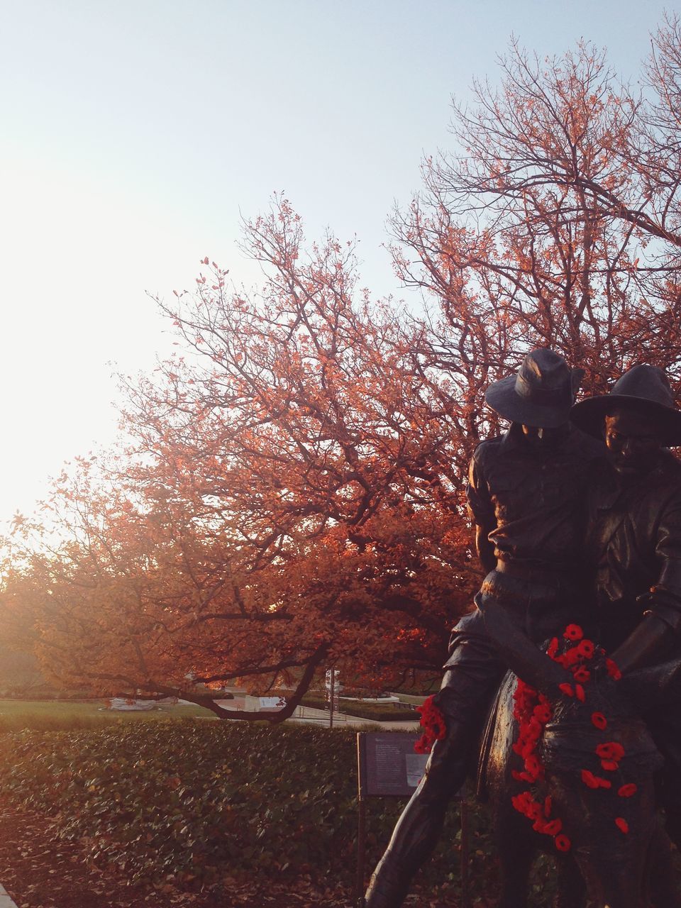 tree, plant, representation, human representation, sky, nature, art and craft, sculpture, statue, day, creativity, flower, no people, flowering plant, park, growth, clear sky, male likeness, beauty in nature, park - man made space, outdoors, springtime, cherry blossom