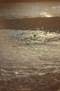 Full frame shot of rippled water