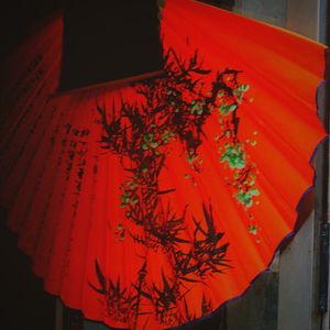 Close-up of red flowers