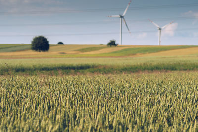Scenic view of farm against sky