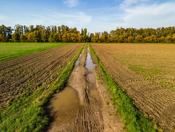 Aerial view of a dirt dirt road with mud between fields and trees after the rain
