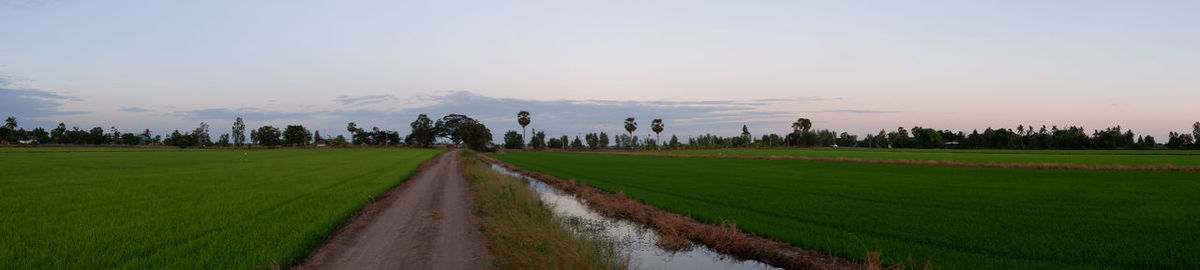 Panoramic view of agricultural field against sky during sunset