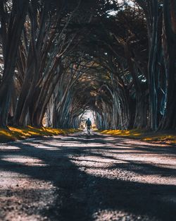 Rear view of man walking on road