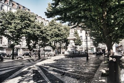 Street amidst trees and buildings in city