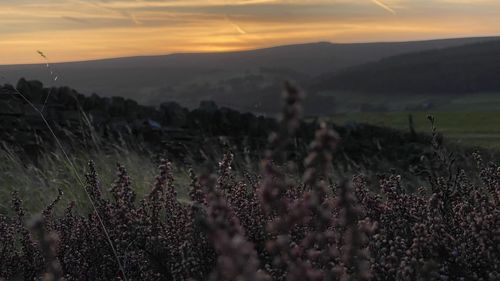 Panoramic view of landscape against sky during sunset