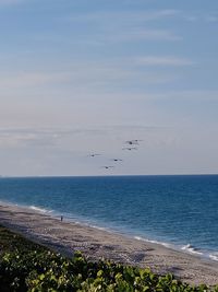 View of birds flying over sea