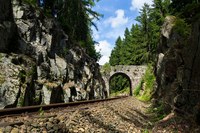 Railroad track passing through trees