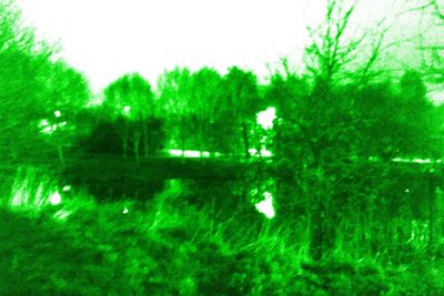 Full frame shot of illuminated trees by lake