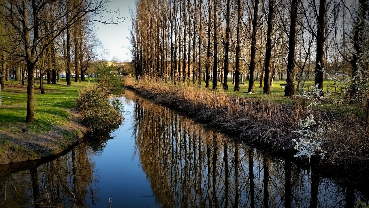 tree, water, reflection, tranquility, tranquil scene, canal, lake, nature, river, growth, beauty in nature, scenics, tree trunk, waterfront, standing water, branch, built structure, bare tree, day, outdoors