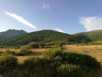 Scenic view of landscape against cloudy sky