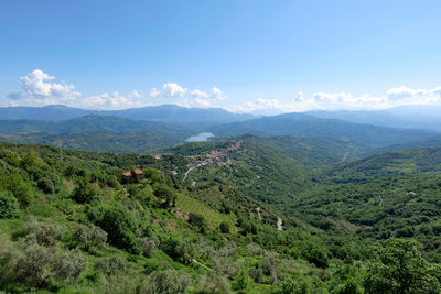 environment