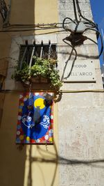 Low angle view of potted plant against building