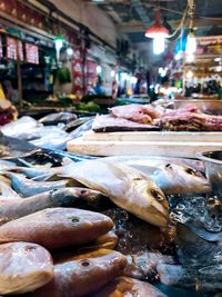 Fish for sale at market stall